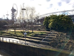 Acacia in Feb, 2012 Gardens, Queen Elizabeth Olympic Park