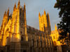 Guided Tours Photographs